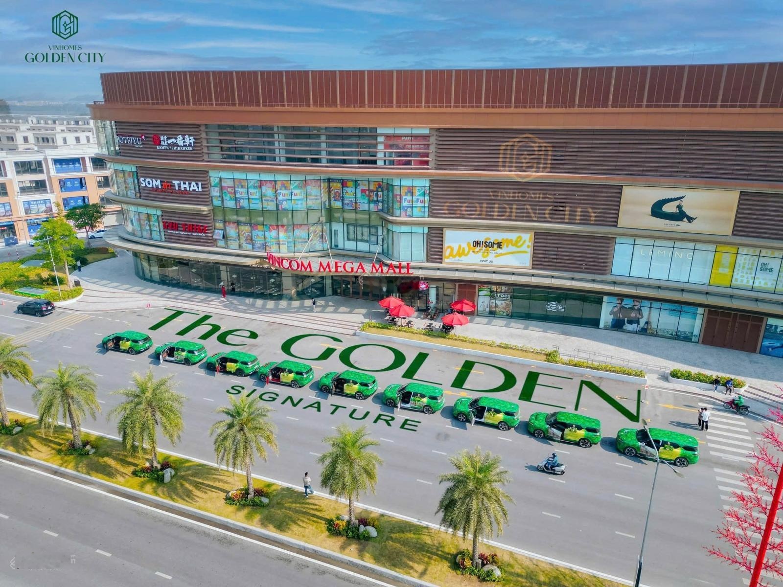 Vốn 1,2 tỷ -TTS 5 tỷ -Quỹ 50 căn 63m2,110m2,445m2 giá cđt- giãn xây 4 tầng- Vinhome Dương Kinh