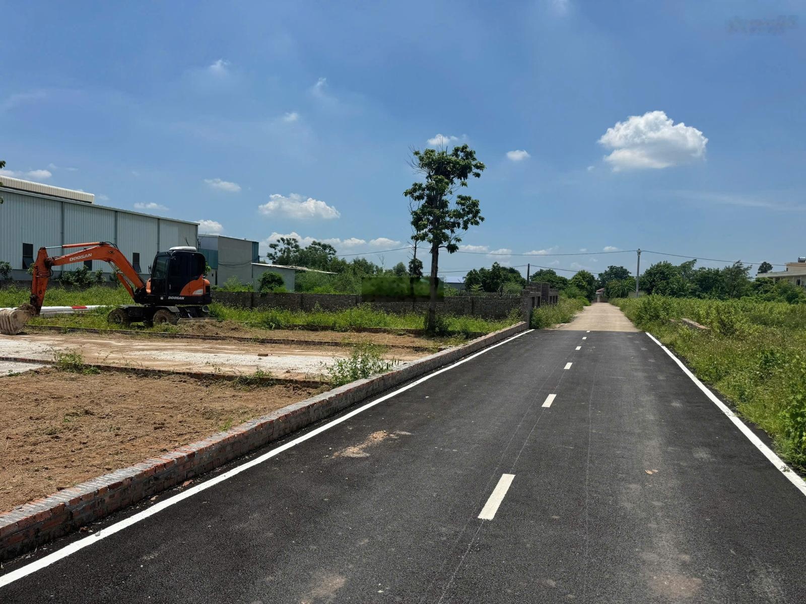 Bán đất Thái Lai, Minh Trí, Sóc Sơn, Hà Nội, 2 mặt tiền trước sau, 115 m2, giá siêu hời