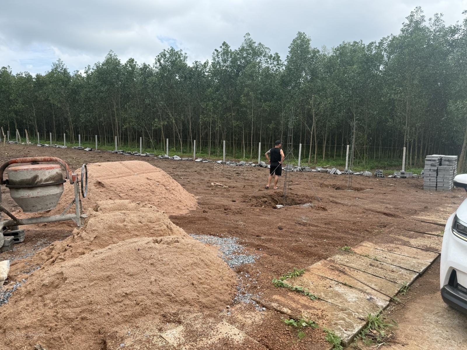 Đất mặt tiền đường nhựa ngang 20m. Dài 50m. Đã phủ hồng toàn bộ. Khu dân cư hiện hữu