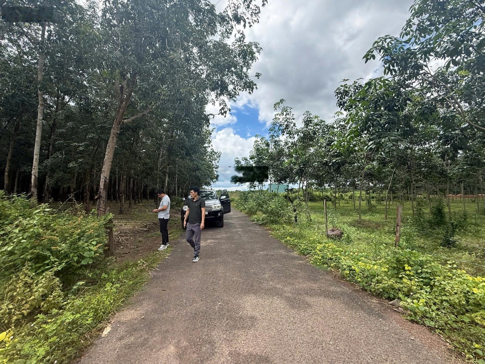 Công ty Đấu giá Hợp danh Trực tuyến Việt Nam (VNOA) thông báo đấu giá các lô tài sản