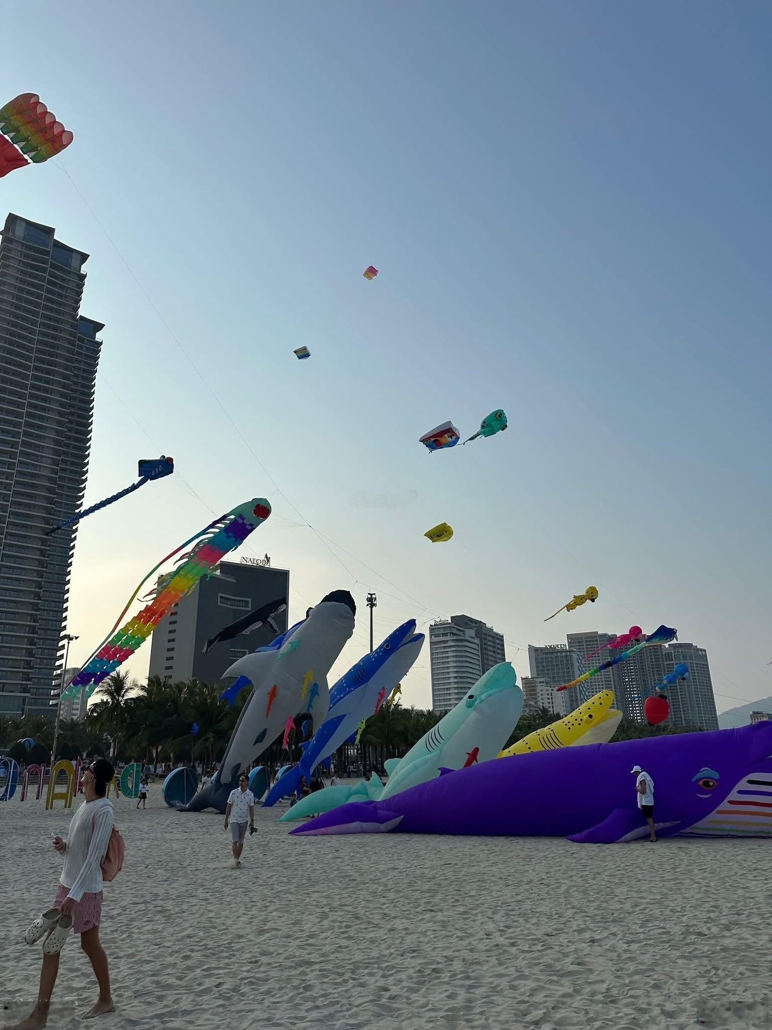 Tổng hợp! Các lô gốc đầu tuyến Sơn Trà - Diện tích 180 - 200m2 - Gần biển! Giá chỉ 100tr/m2