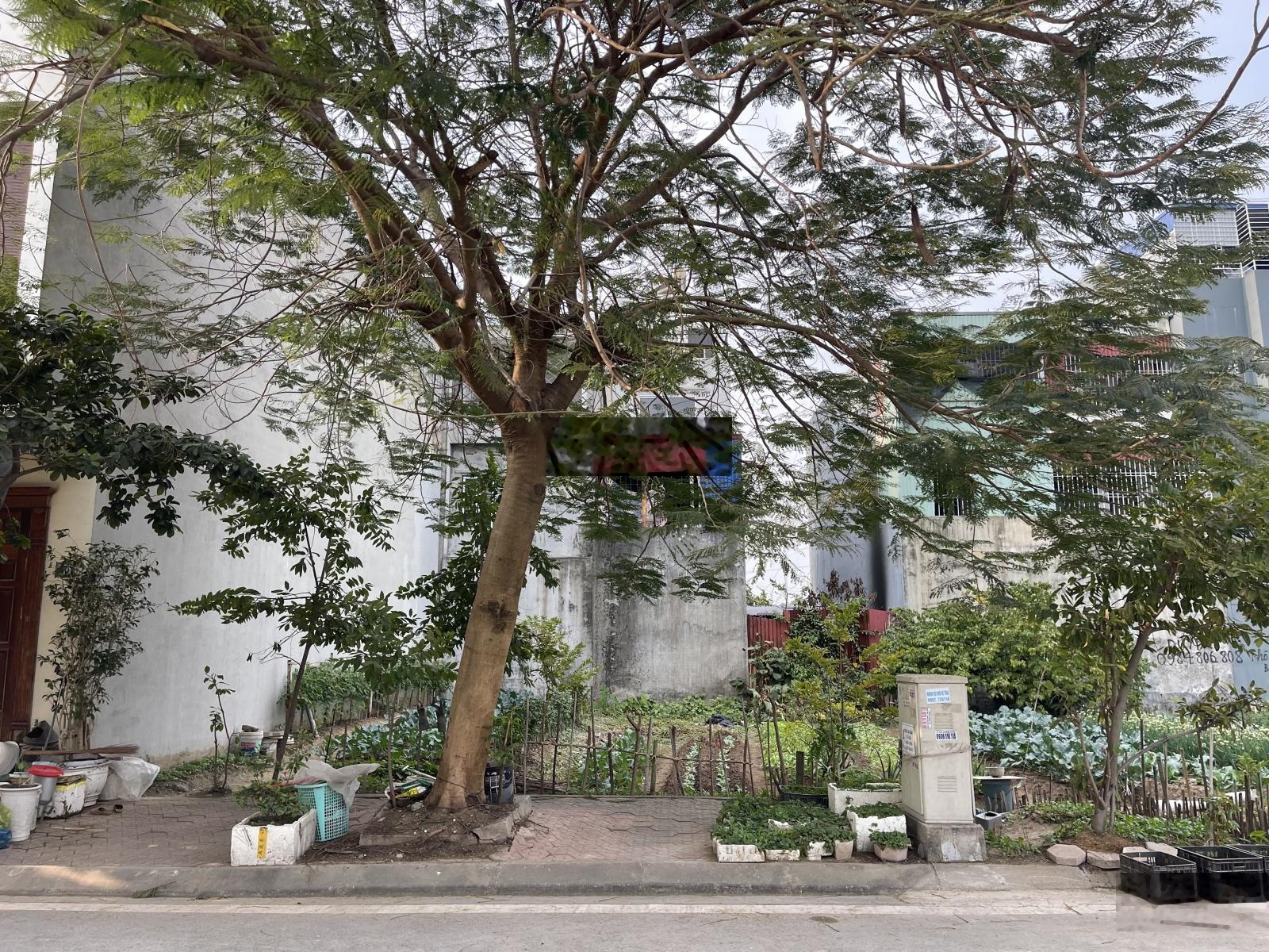 60m2 đất TĐC Đồng Giáp - Đường 15m - Đông Nam