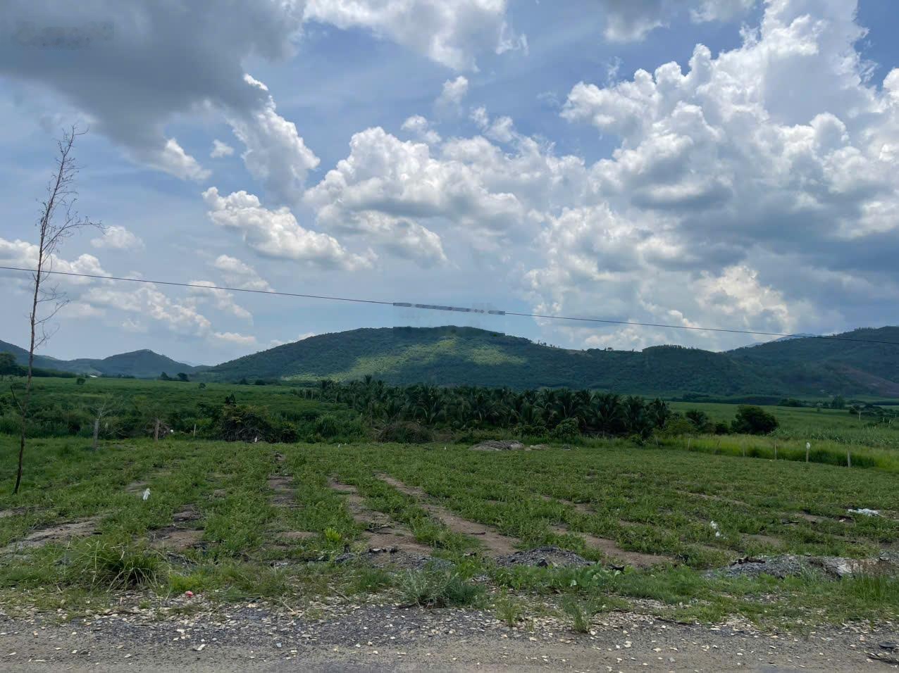 Bán lô góc 2 mặt tiền đường TL8 Ninh Xuân, Ninh Hòa, Khánh Hòa