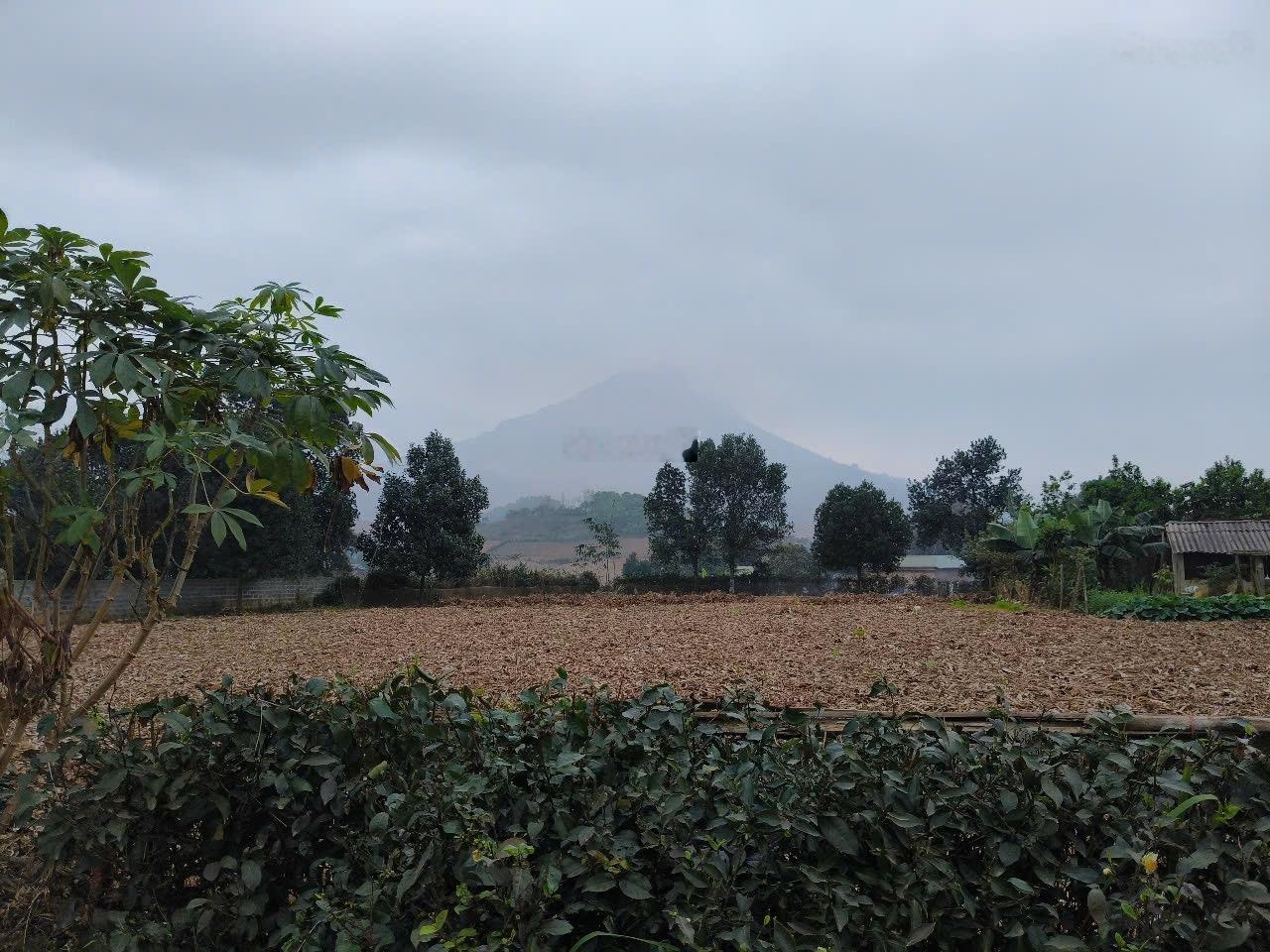 Đất minh quanh Ba Vì HN 0973967582