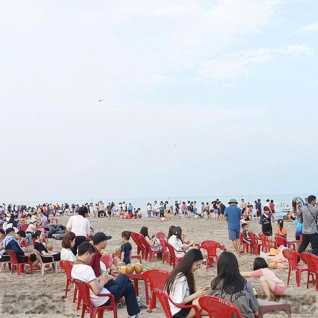 Cắt lỗ lô đất biển Khu Kinh Tế Ninh Cơ trả nợ ngân hàng . Đàm phán thoải mái