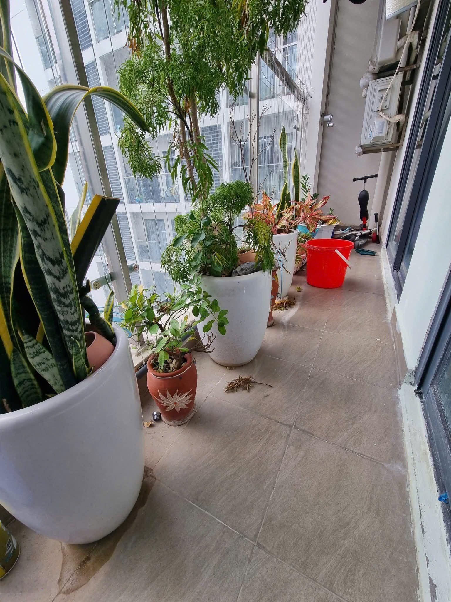 Chung cư 2N + 1vs (An Bình Plaza bàn giao 2021) nhà đẹp / vị trí trung tâm (có lot để ôtô)