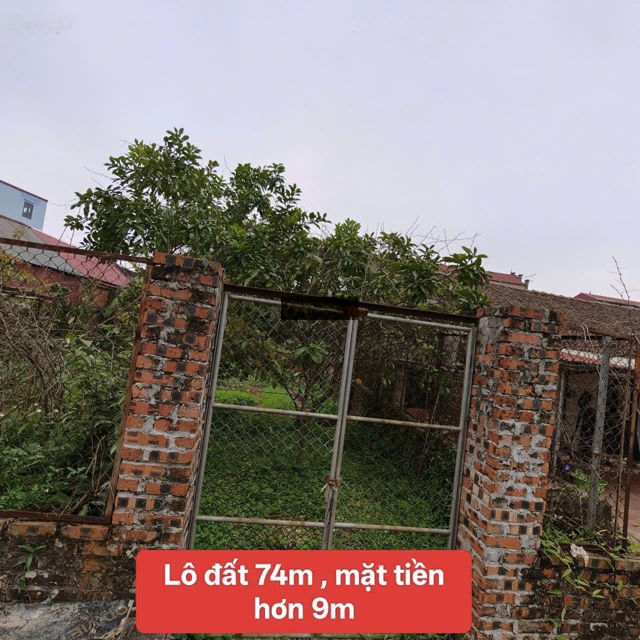 F0 nóng hổi chính chủ bán 2 lô đất 74m- mặt tiền hơn 9m- kim thiều , hương mạc, từ sơn. nhú 2 tỷ