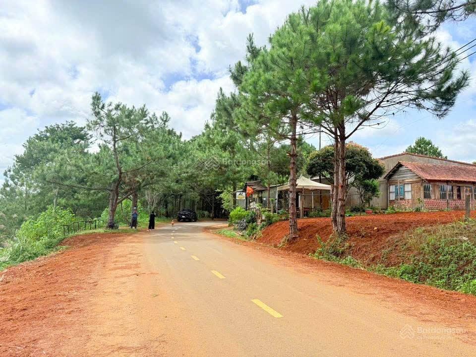 Chính chủ bán nhanh lô đất trung tâm Măng Đen, view thung lũng cao thoáng, diện tích 300m2