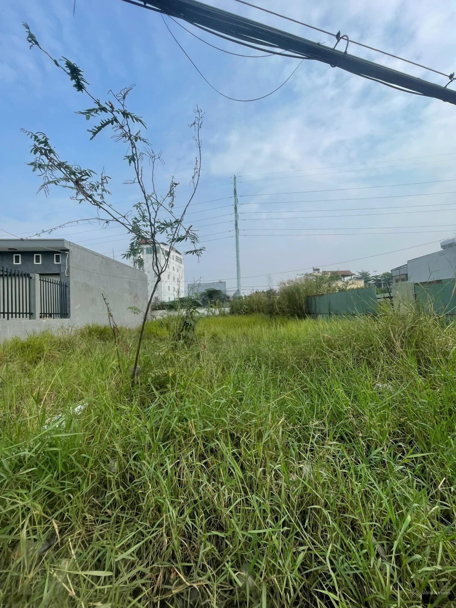 Đất mặt tiền Tỉnh Lộ 15, xã Bình Mỹ Củ Chi 195m2, giá ngộp, gần Cầu Sáng và Vành đai 3