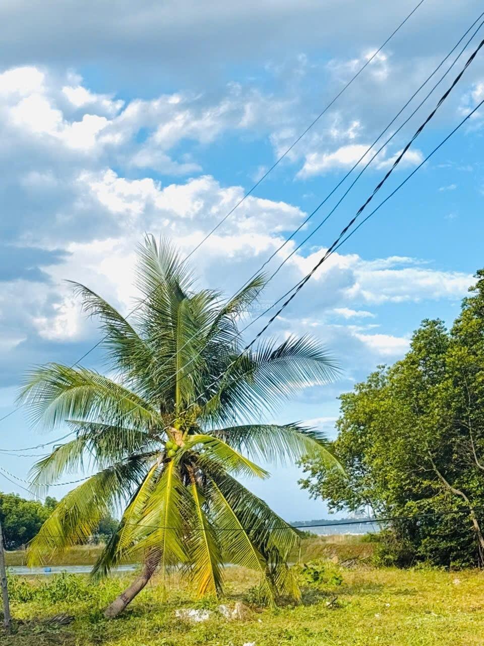 View Đầm Cam Hoà khu an toàn full thổ giá đầu tư