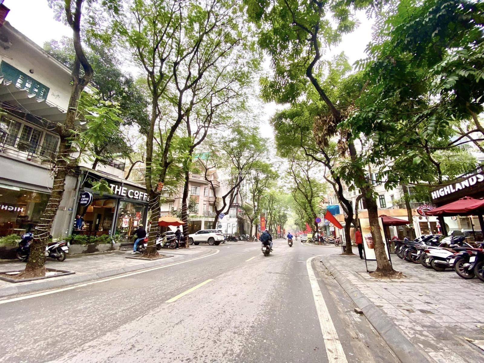 Bán nhà mặt phố tại đường Trần Nguyên Đán, 50 tỷ, 80m2, Hoàng Mai, Hà Nội