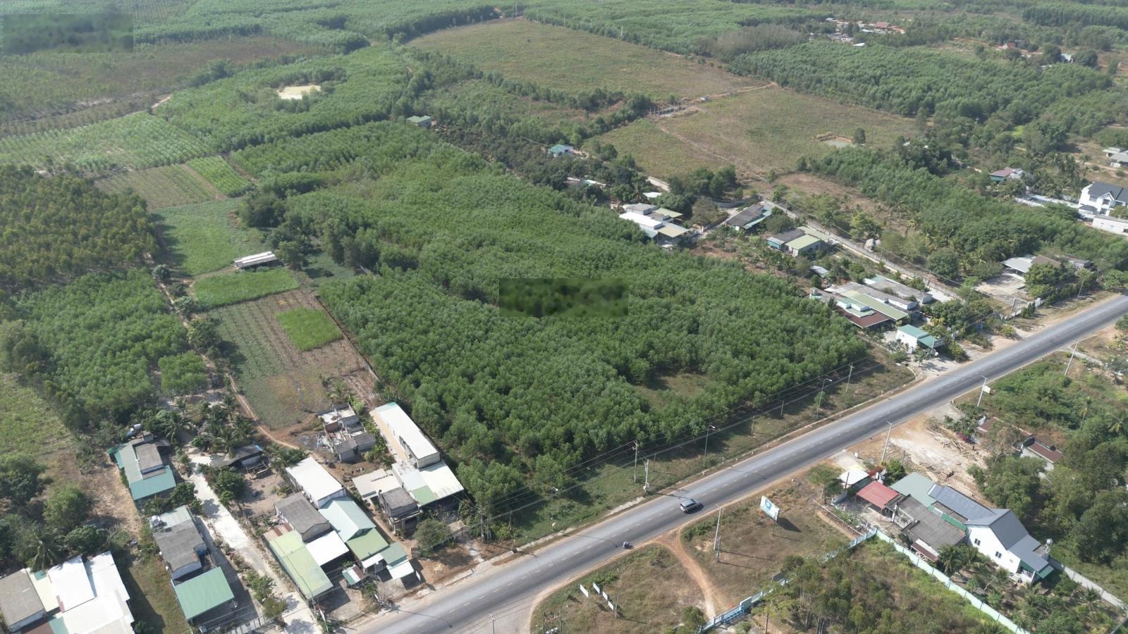 2,8Ha Mặt Tiền QL55 Tân Hà Hàm Tân - Quy Hoạch ONT - Giá Chỉ 1,6 triệu/m2