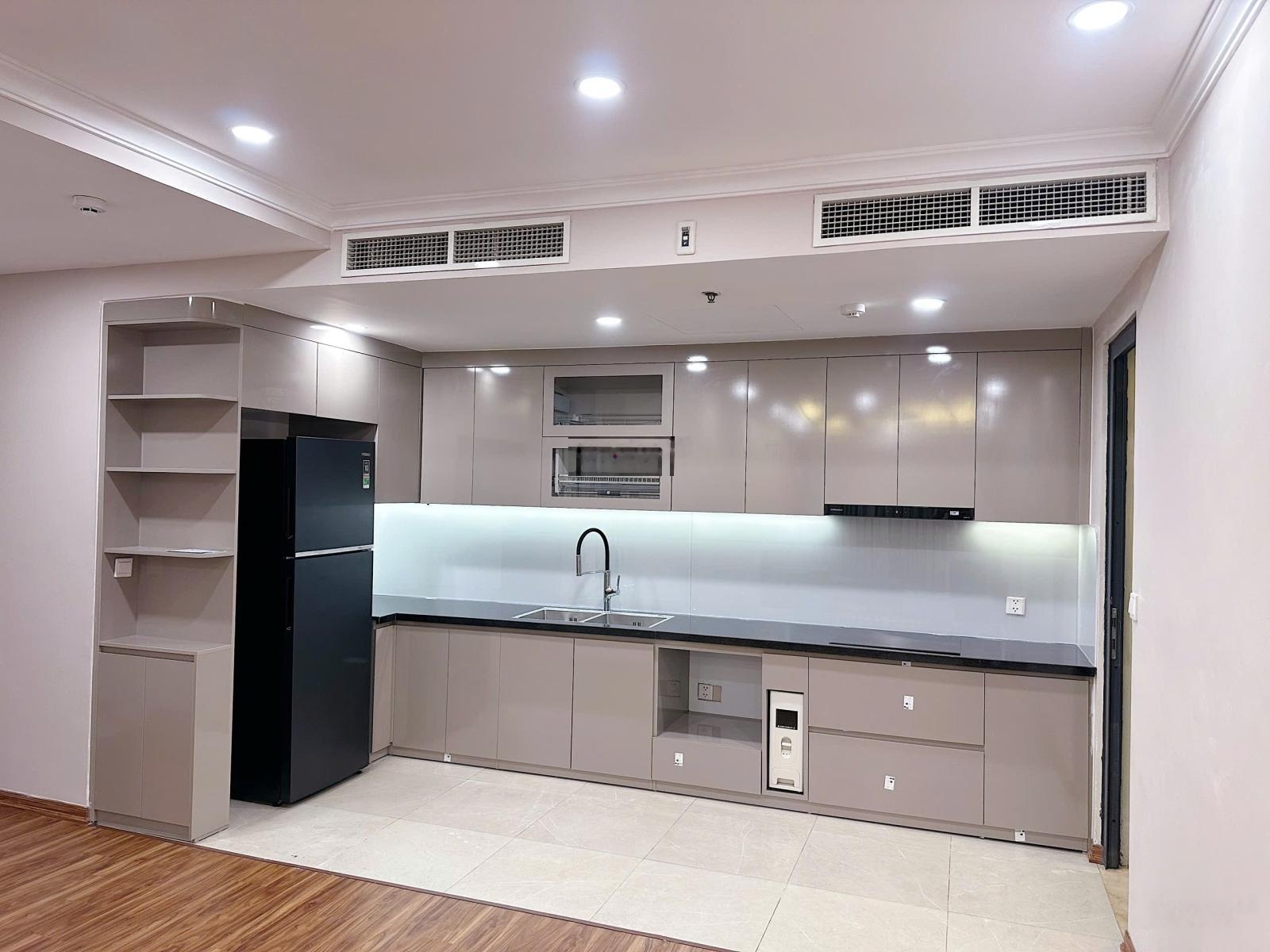 Cho thuê căn hộ astermit 100m2. 3phòng ngủ. 2wc.