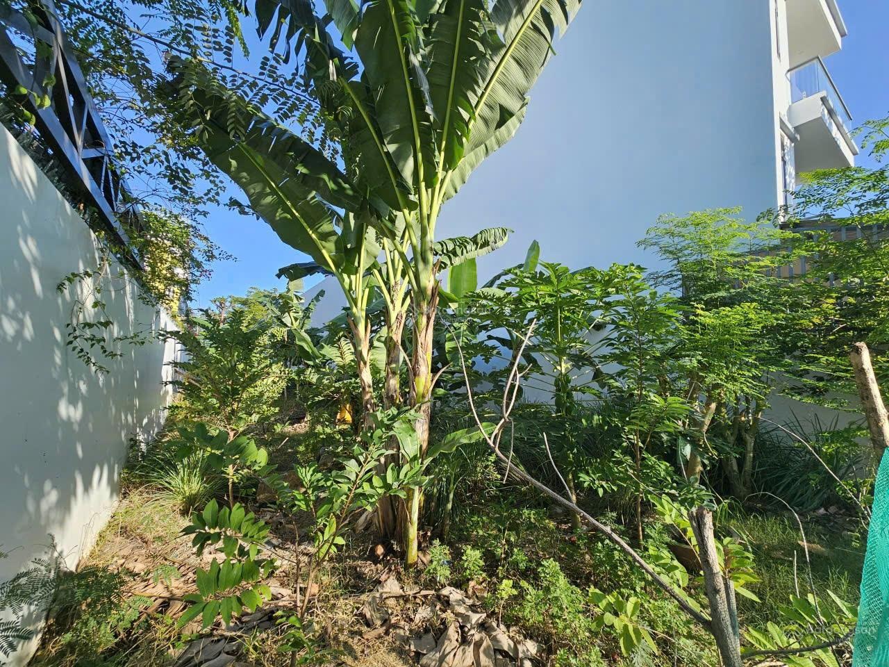 Vị trí đẹp, đất kdt An Bình Tân đã có sổ riêng tại Nha Trang. Hướn Đông Nam mát.