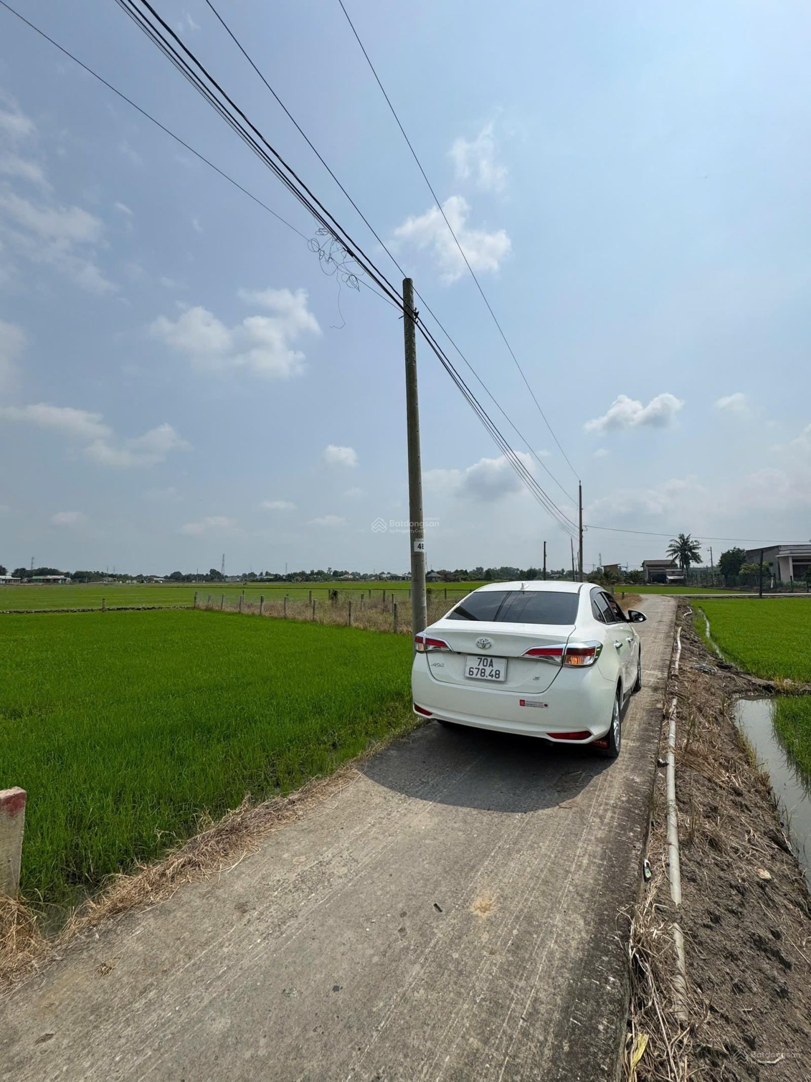 Cần bán đất (Lạc Tấn - Tân Trụ - Long An):