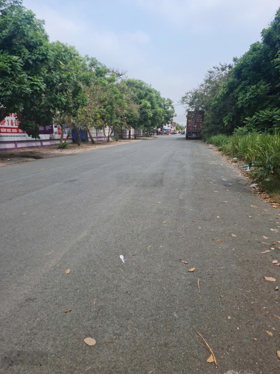 Đất ở 5x25m khu Tân Đức Đức Hòa Long An, Đường 12m, 1,5tỷ