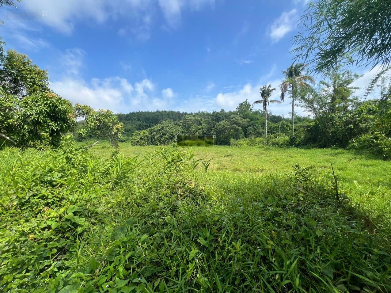 Bán đất tại Xã Hưng Lộc, Thống Nhất, Đồng Nai, giá tốt 18 triệu/m2, 1000m2