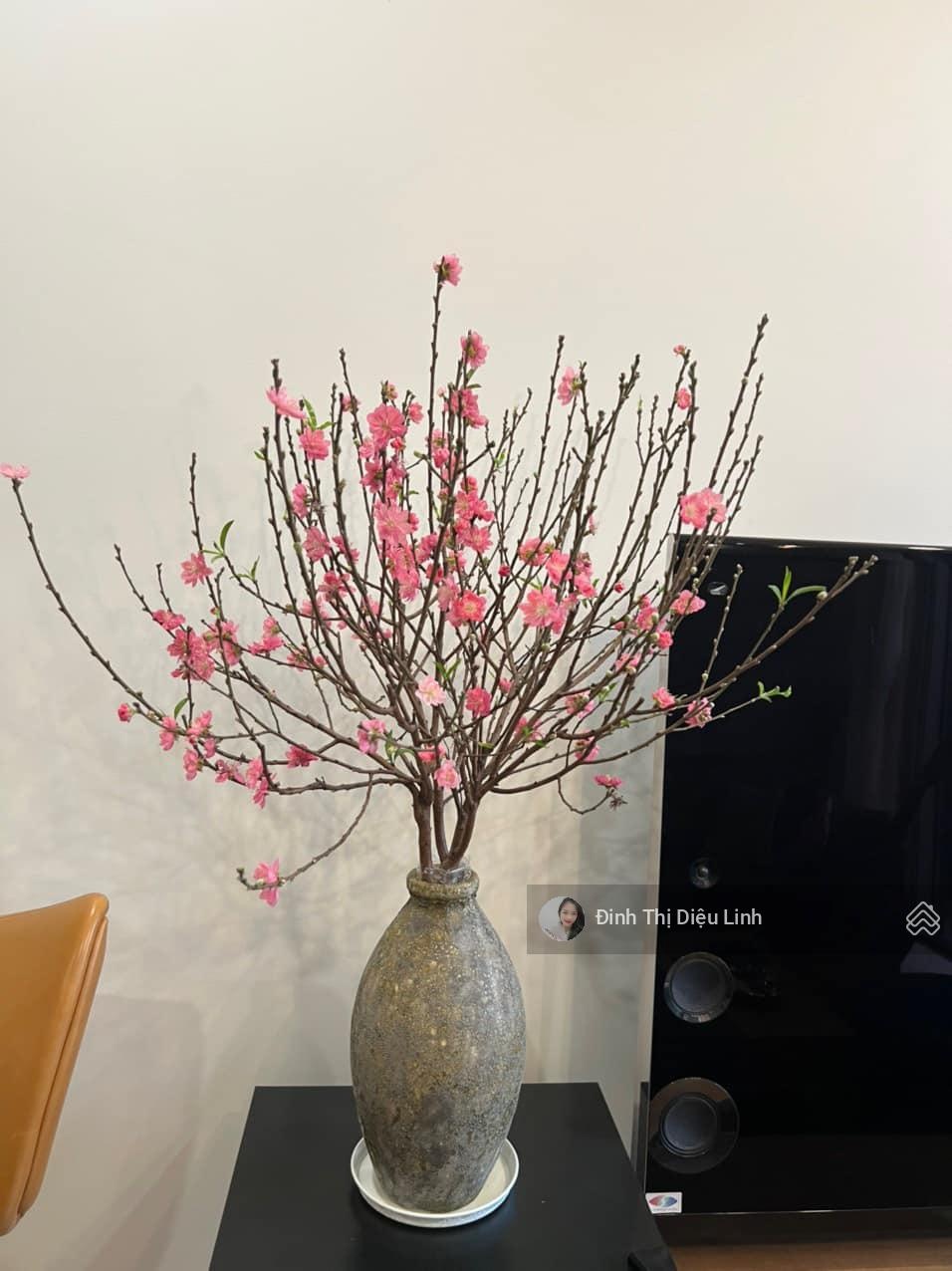 Bán nhanh Cantavil An Phú - Sổ hồng riêng (120m2 - 8.9tỷ), Cantavil Premier (111m2 - 125m2 - 176m2)