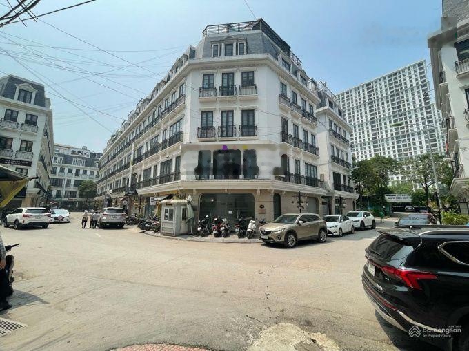 Bán gấp biệt thự song lập Mỹ Đình, giá đầu tư, ô tô tránh, vỉa hè, kinh doanh, 200m2 45 tỷ