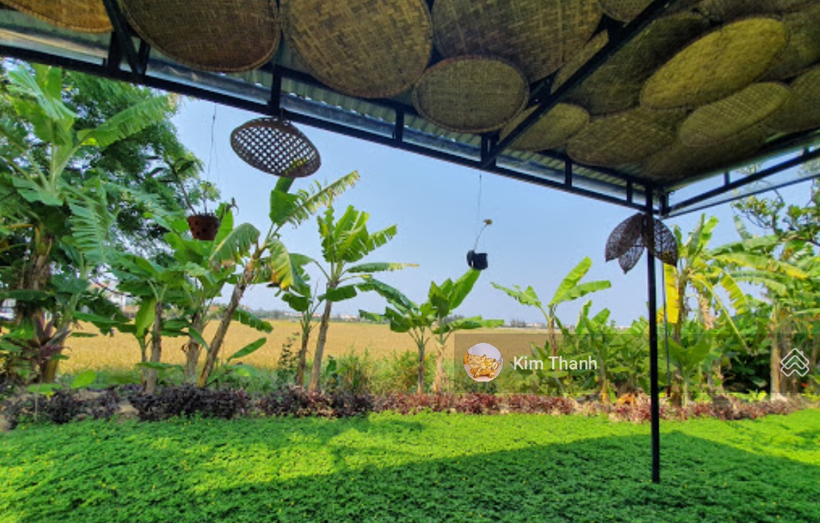 Chủ kẹt tiền bán gấp lô đất mặt tiền cẩm thanh, 1.500m, 1.000m đất ở, giá 20 tỷ