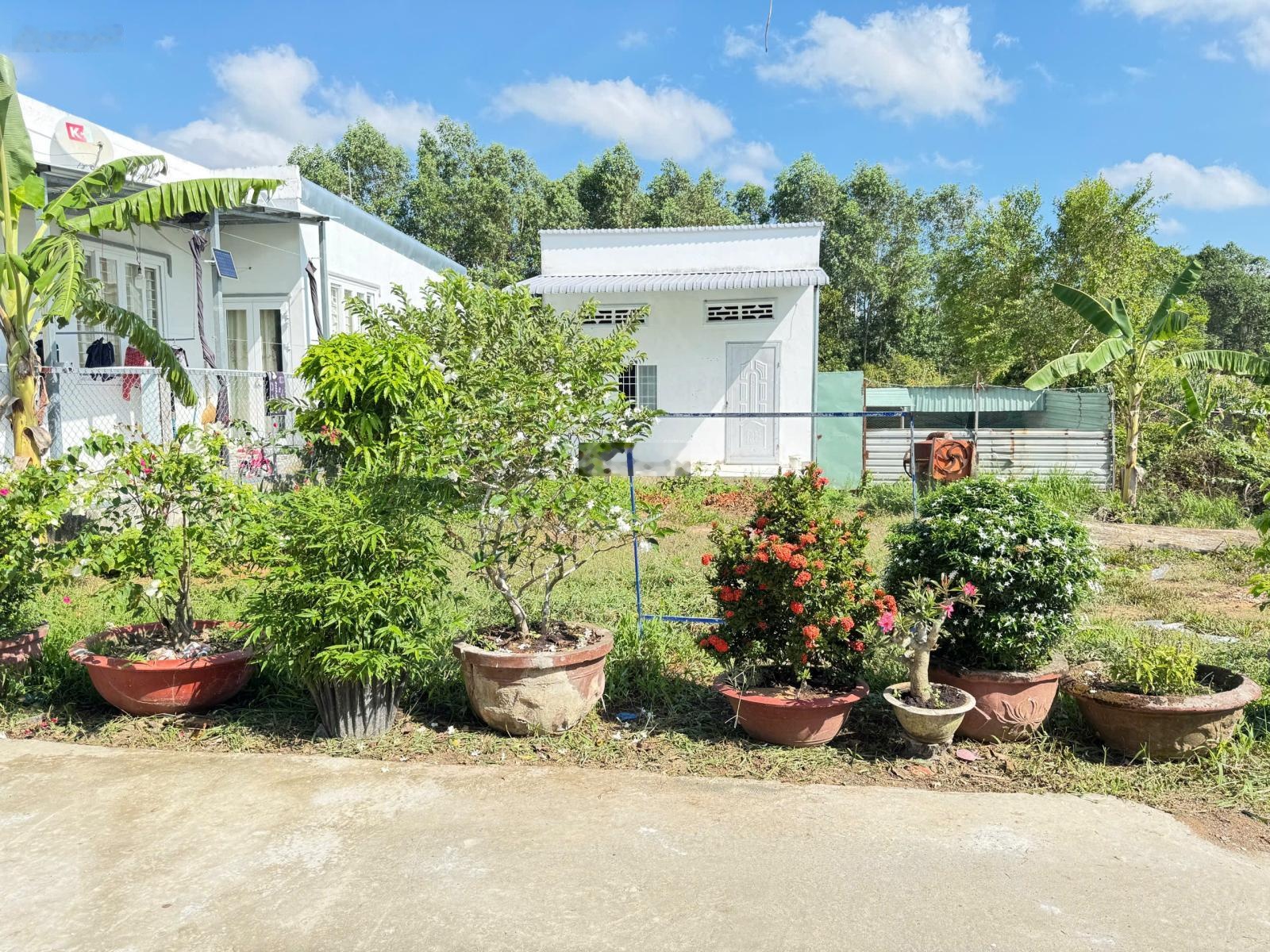 Chính chủ bán nền Nguyễn Trung Trực nối dài, 7x18.6m chỉ 1,050tỷ/nền