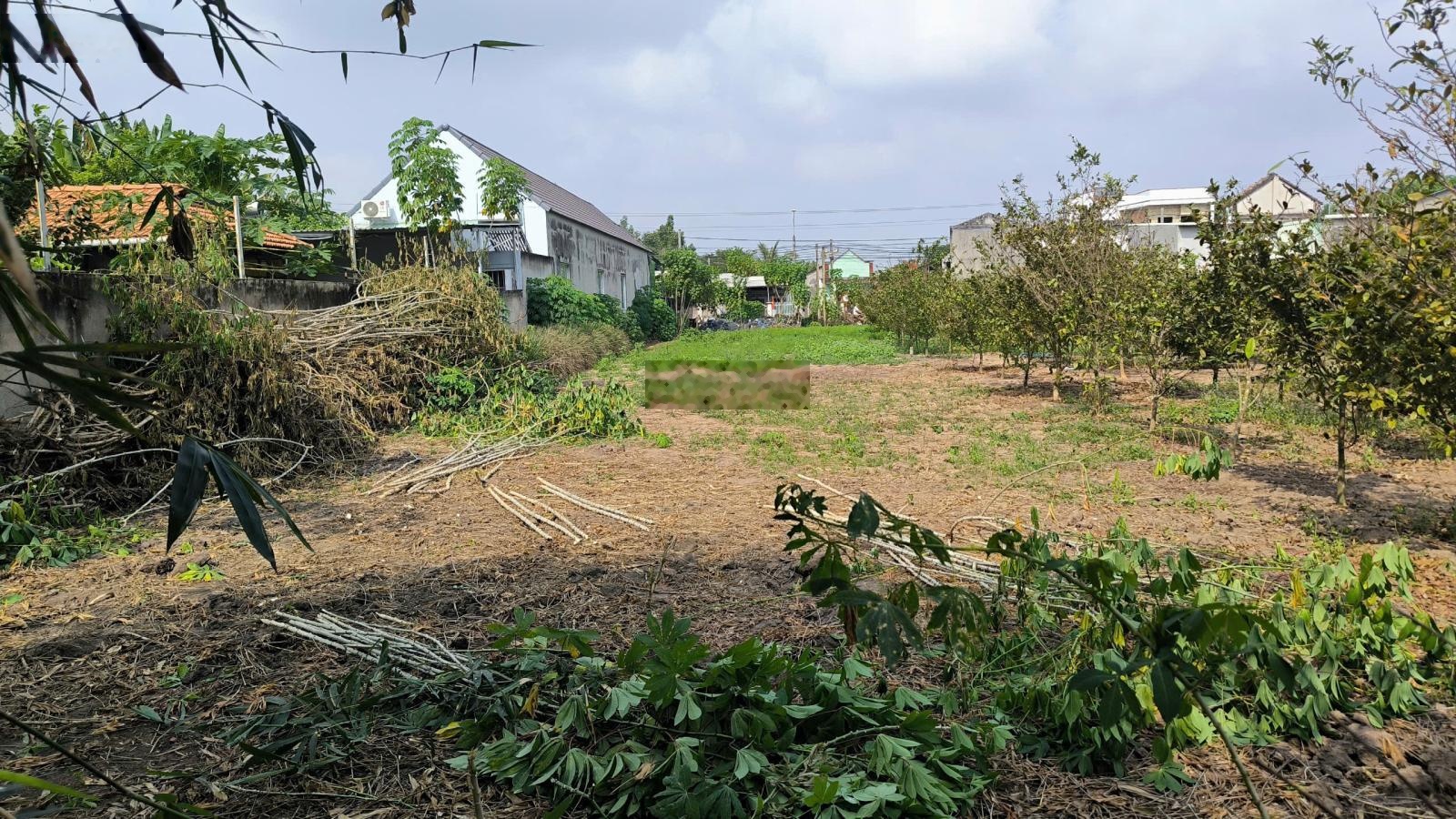 Bán 137m2 thổ cư (5x27m/100tc) gần Vành Đai 4- Tp.HCM