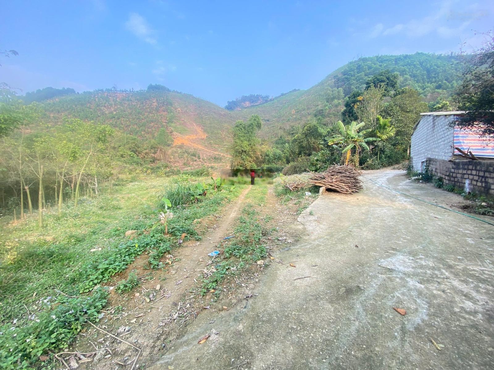 Siêu phẩm nghỉ dưỡng 1112m2 đất yên bình, thạch thất. giá chỉ có 6,5tr/1m.