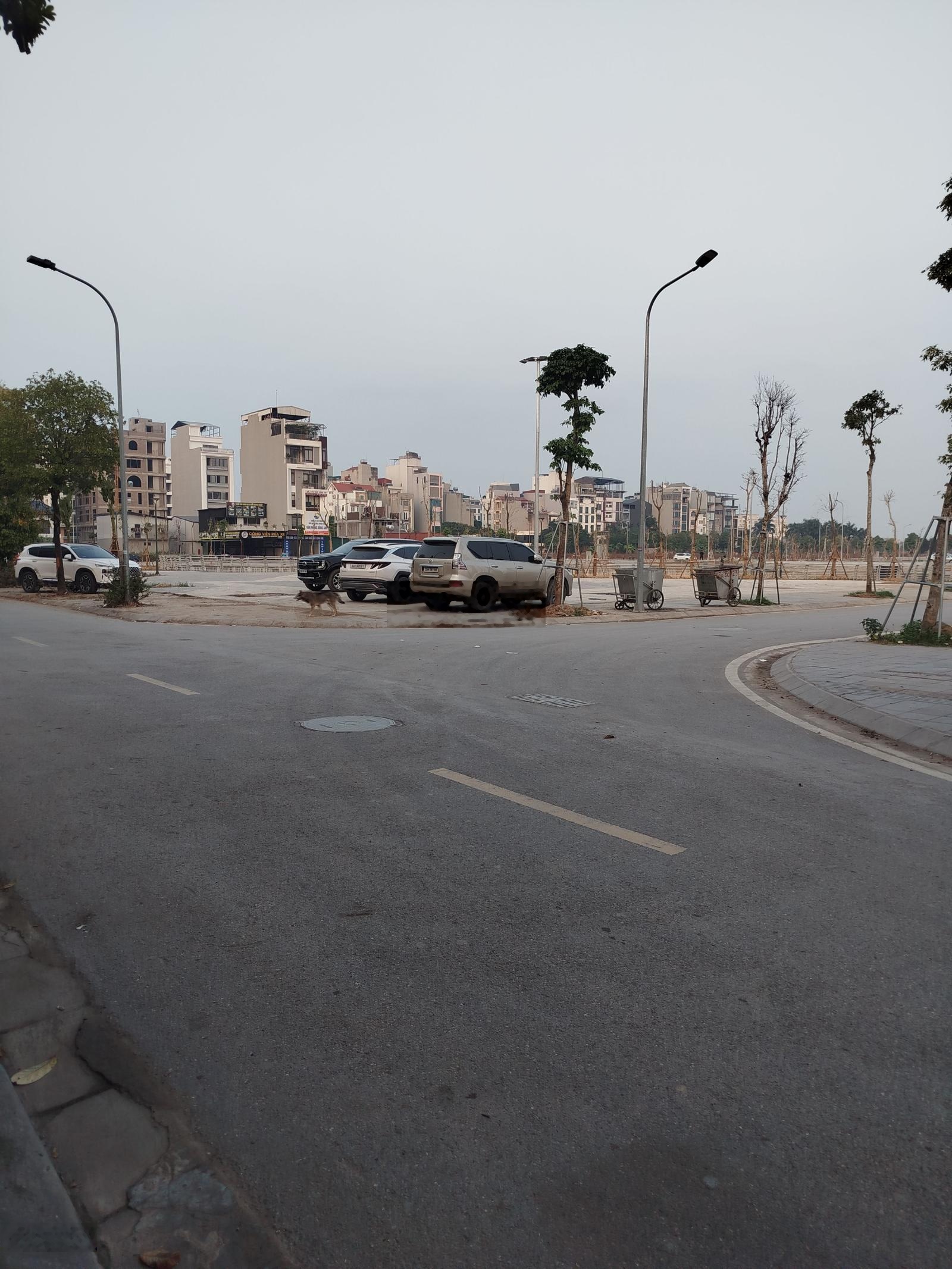 Siêu phẩm đấu giá vườn đào phúc lộc đông anh, diện tích 117,3m, mặt tiền 7m, đường 15m