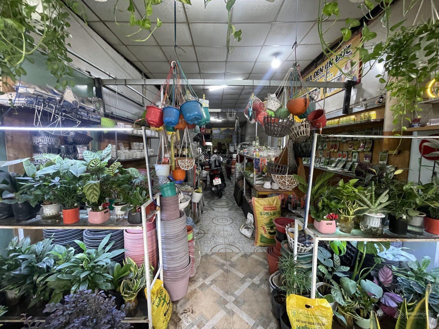 Quận 12 , SANG CỬA HÀNG CÂY CẢNH GIÁ CHỈ 65 tr , MT Đường sầm uất