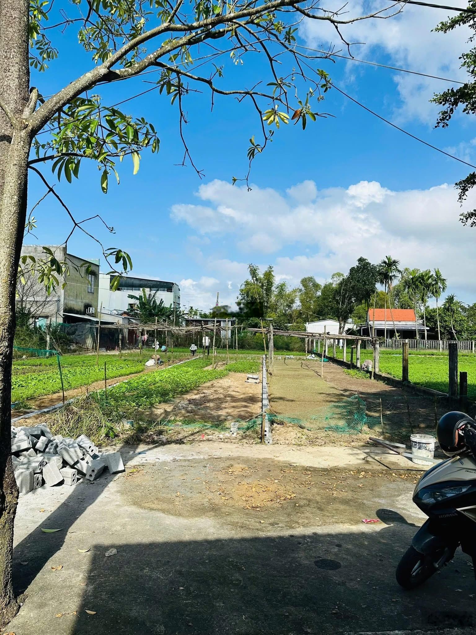 Bán đất cạnh KCN An Lưu trục chính siêu đẹp