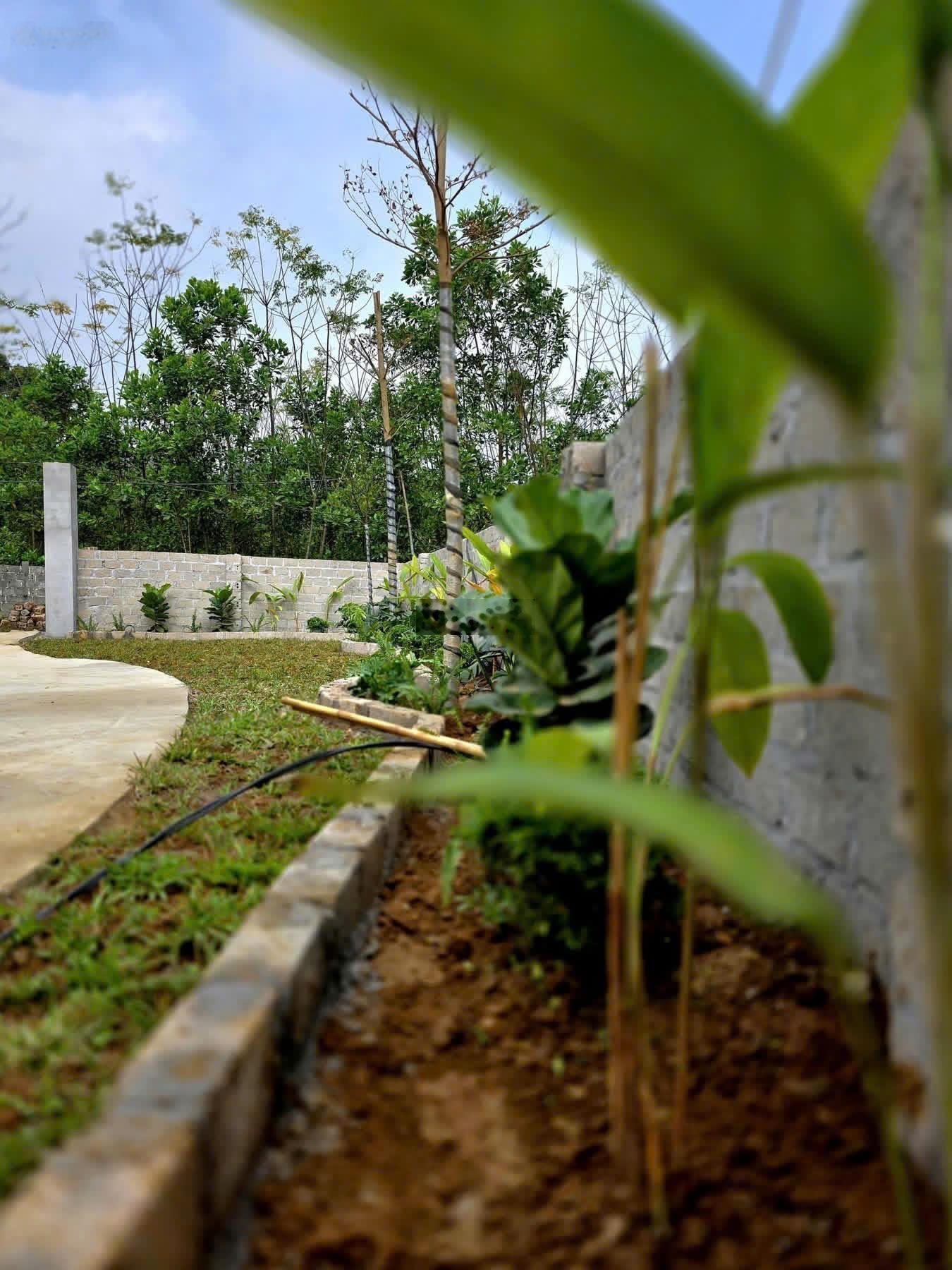 Giữ tiền an toàn. Tạo dòng tiền 6%/năm với đất nghỉ dưỡng Lương Sơn