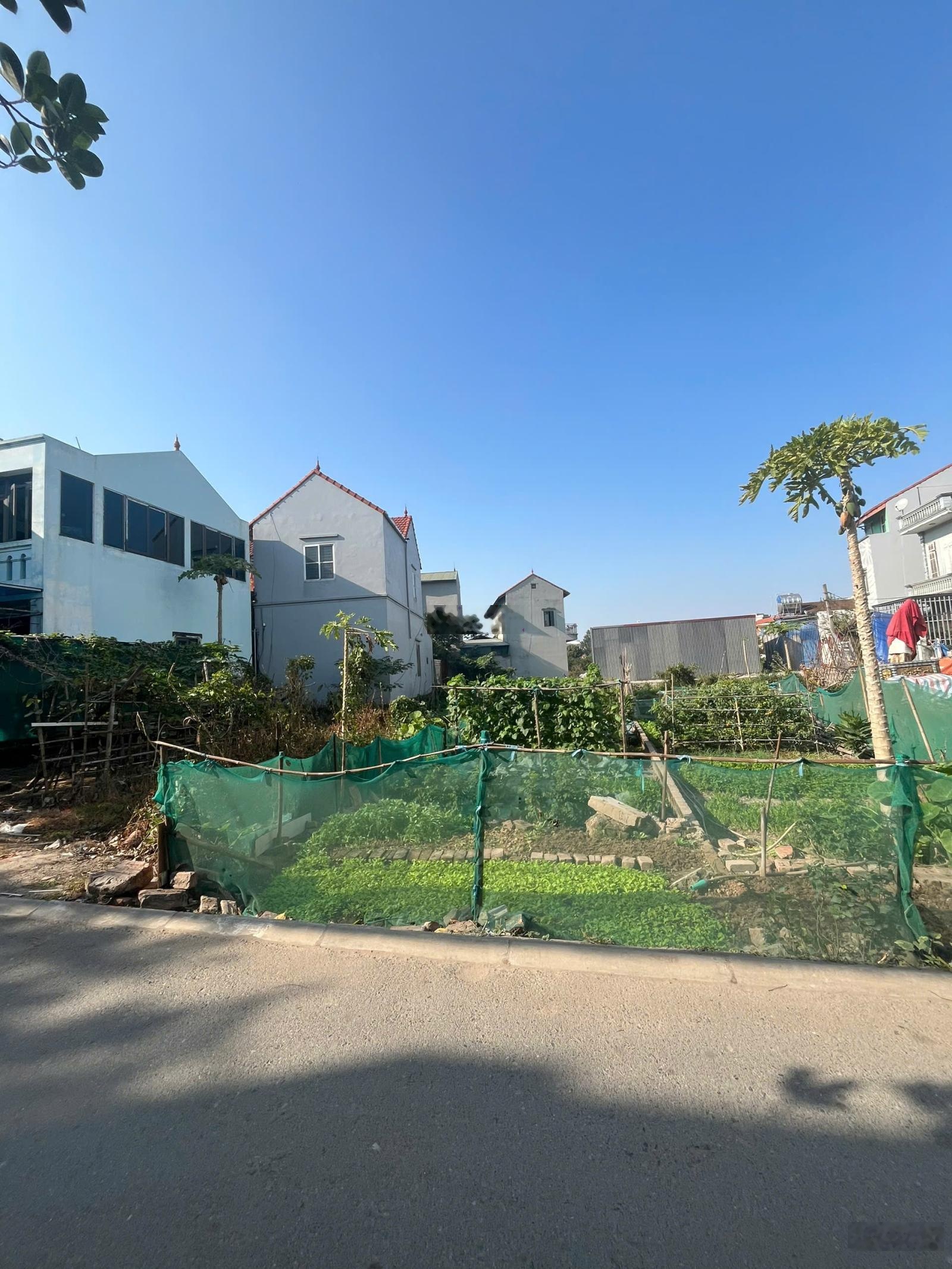 Rẻ nhất Kiêu Kỵ! Bán đất Chu Xá 122m chỉ ~61tr/m ô tô tránh nhau