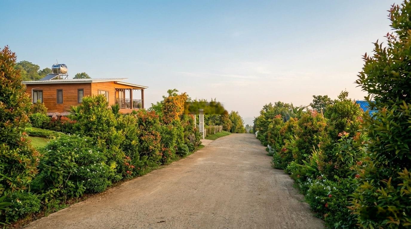 Cộng đồng nhà gỗ 1000m2 giữa thiên nhiên nguyên bản, cộng đồng cư dân hiện hữu, SHR công chứng ngay