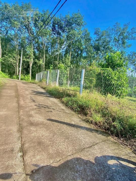 Đất nền tại Quốc lộ 1A, Suối Tre, Long Khánh, Đồng Nai, giá thỏa thuận, 1404.8m2