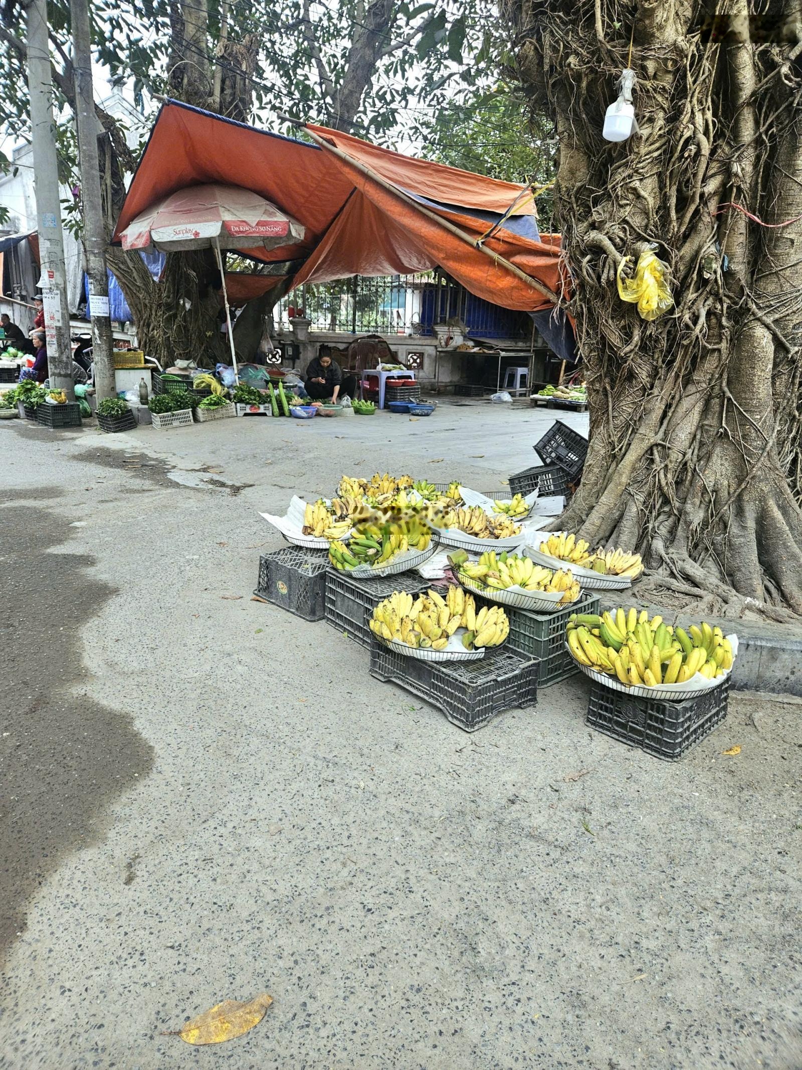 Bán nhà riêng tại Cầu Cốc, 8,6 tỷ, 62m2, 6PN, 6WC, hàng hiếm tại Nam Từ Liêm, Hà Nội