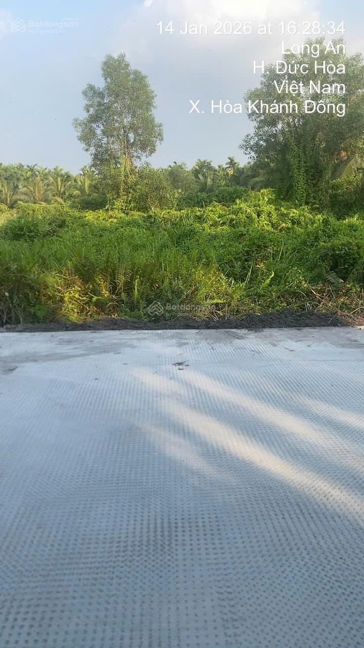 650 triệu công chứng ngay đất mặt tiền DTSD 140.5m2 đường liên xã kế bên KCN Tân Đức