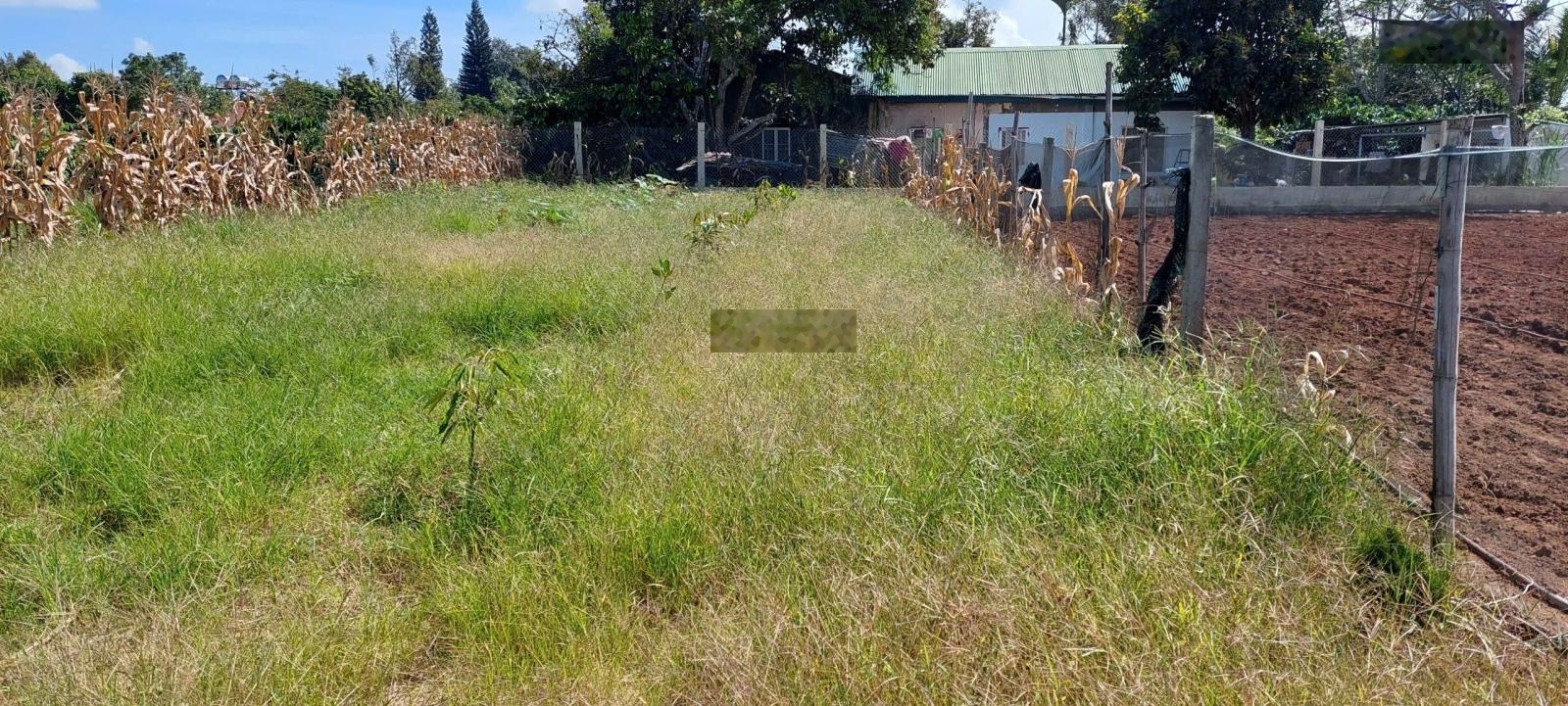 Lô đất khu làng chùa Đại Ninh- Phú Hội- Đức Trọng- Lâm Đồng+ 275m- giá 1 tỷ 750- Ac mua đầu tư được