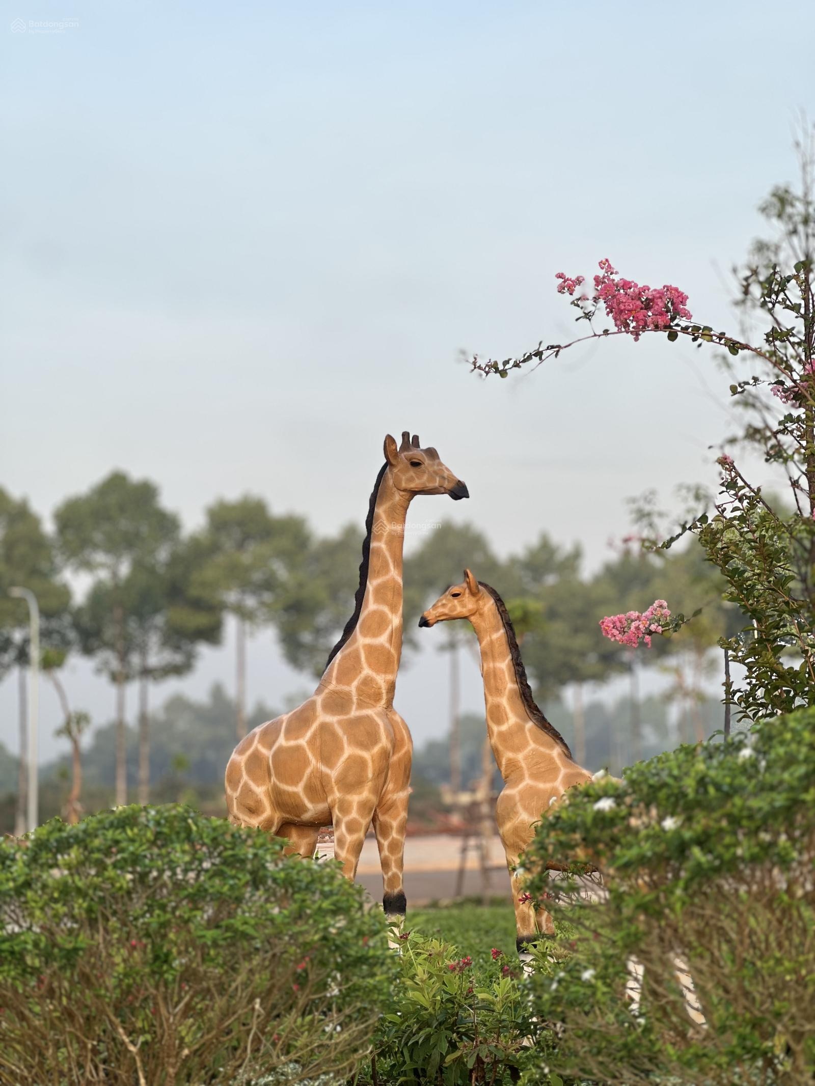 Bán đất nền dự án The Link City 2 tỷ/100m2, Quốc lộ 1A, Xuân Thạnh, Thống Nhất, Đồng Nai, SHR