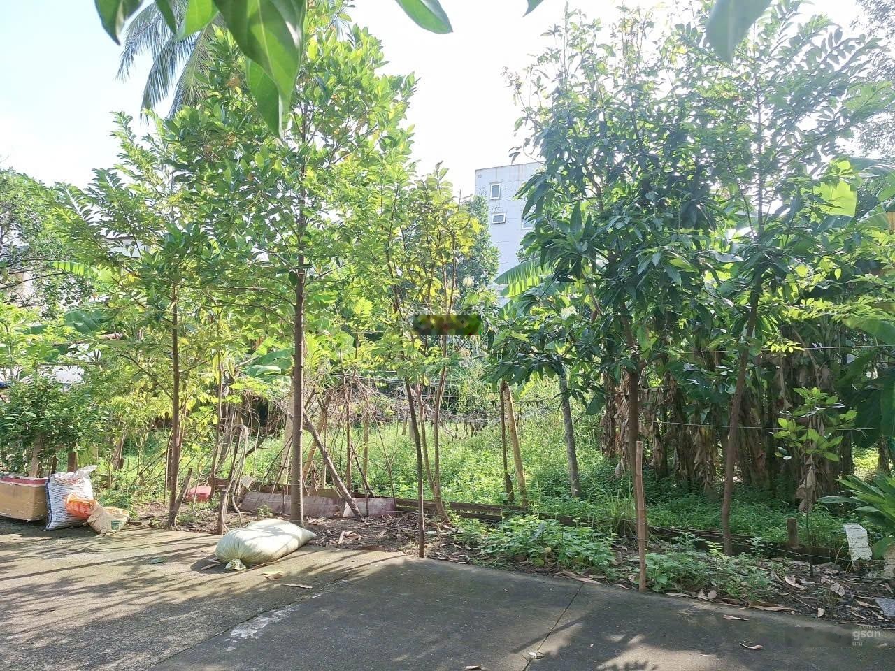 Lã xuân oai hxh trước đất 5m 173m ngang hơn 8m 6.9 tỷ