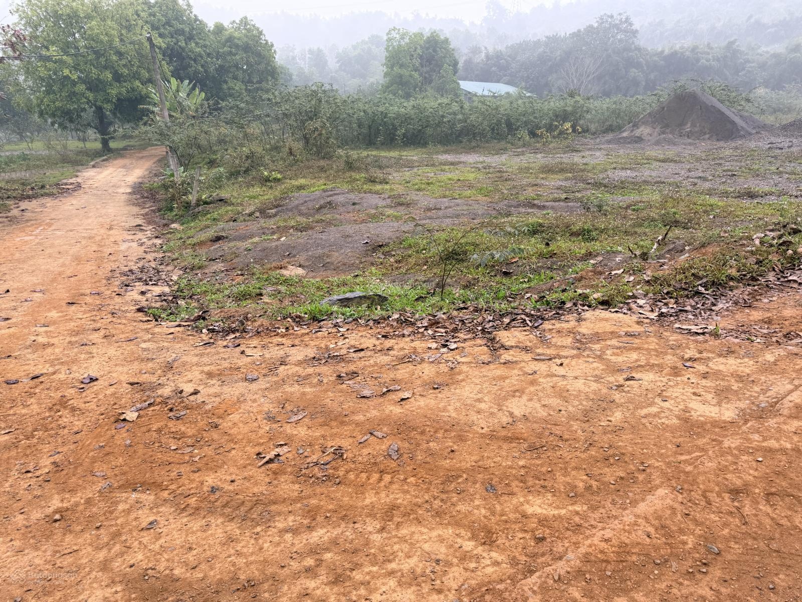 Hàng hiếm xây đc kho xưởng lô góc mặt tiền khủng 31m, DT 1.440m2, chỉ 7tr/m2 Hòa Thạch Phú Cát HN