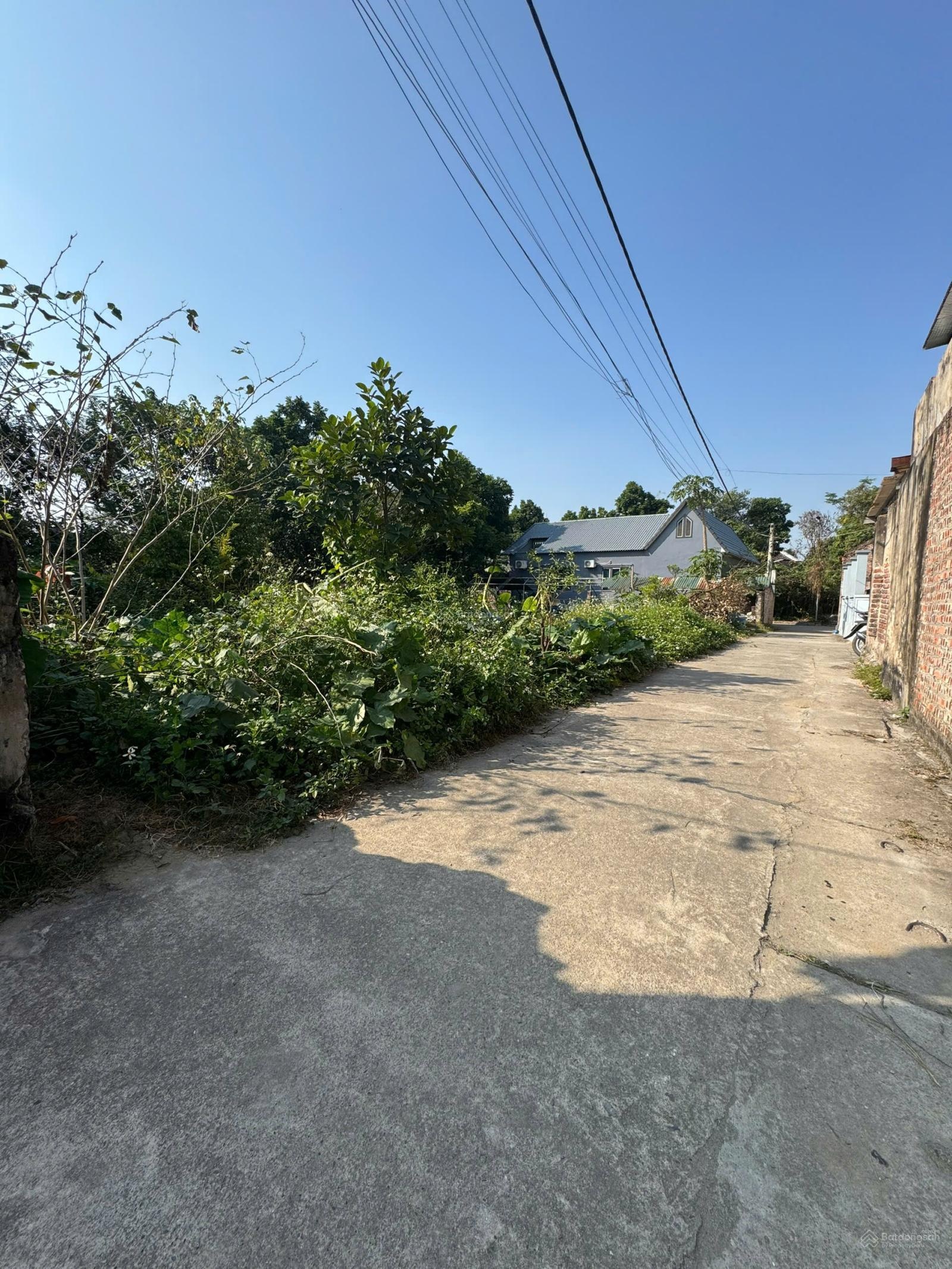 Bán gấp đất nền, Thanh Khương, Thuận Thành, Bắc Ninh, 35 triệu / m2, 98 m2