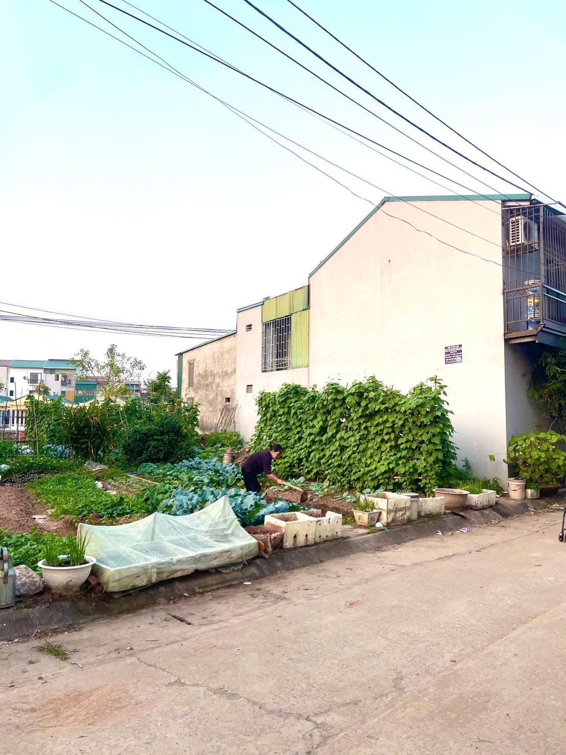 Chính chủ gửi bán 53m Đấu Giá Lại Yên Sơn Đồng.Giáp hồ điều hoà mát mẻ.