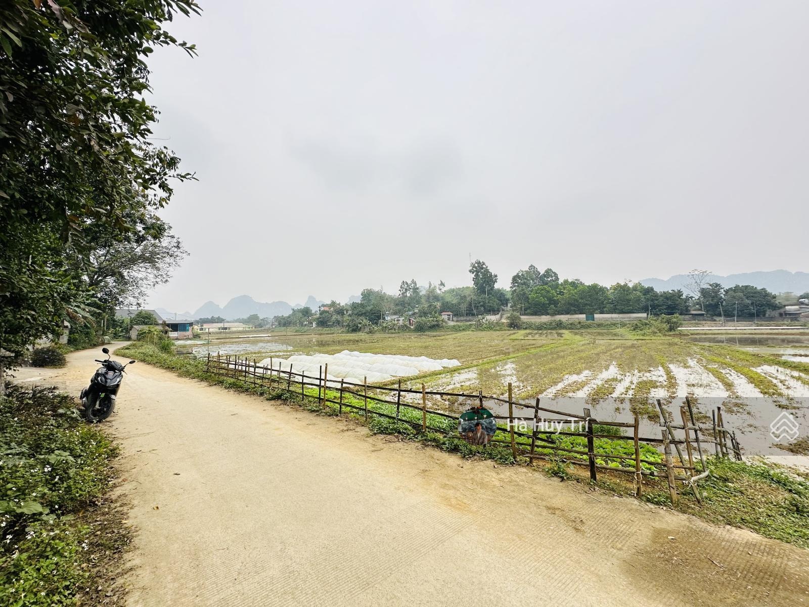 933m2 full thổ cư - mt19m - view cánh đồng - sẵn nhà vườn nghỉ dưỡng - giá rẻ