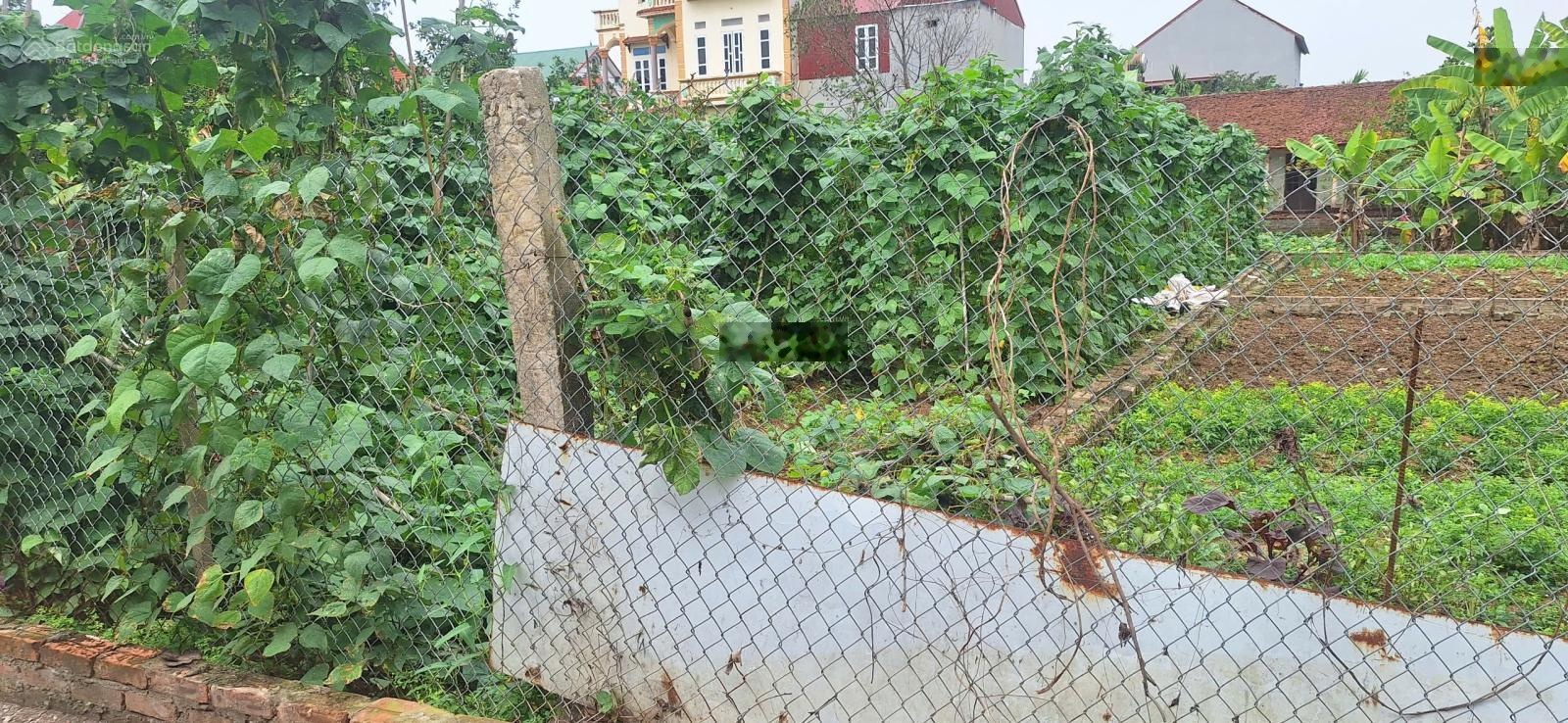 Đón đầu Vành Đai 4 - Chỉ 200m ra cầu Xuân Cẩm - Đất vàng Sóc Sơn giá đầu tư