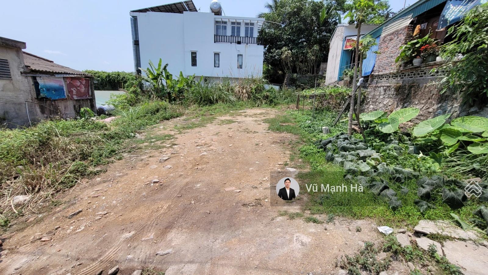 Đất rộng trên đồi Bãi Cháy hợp xây nhà vườn view biển, giá hạt rẻ