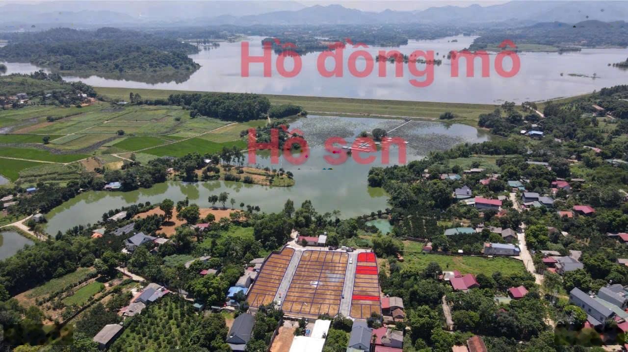 Bán gấp: Lô góc diện tích 111,3m2 mặt tiền 5m gần hồ Đồng Mô, gần KĐT Thiên Mã. Giá 24,5tr/m2