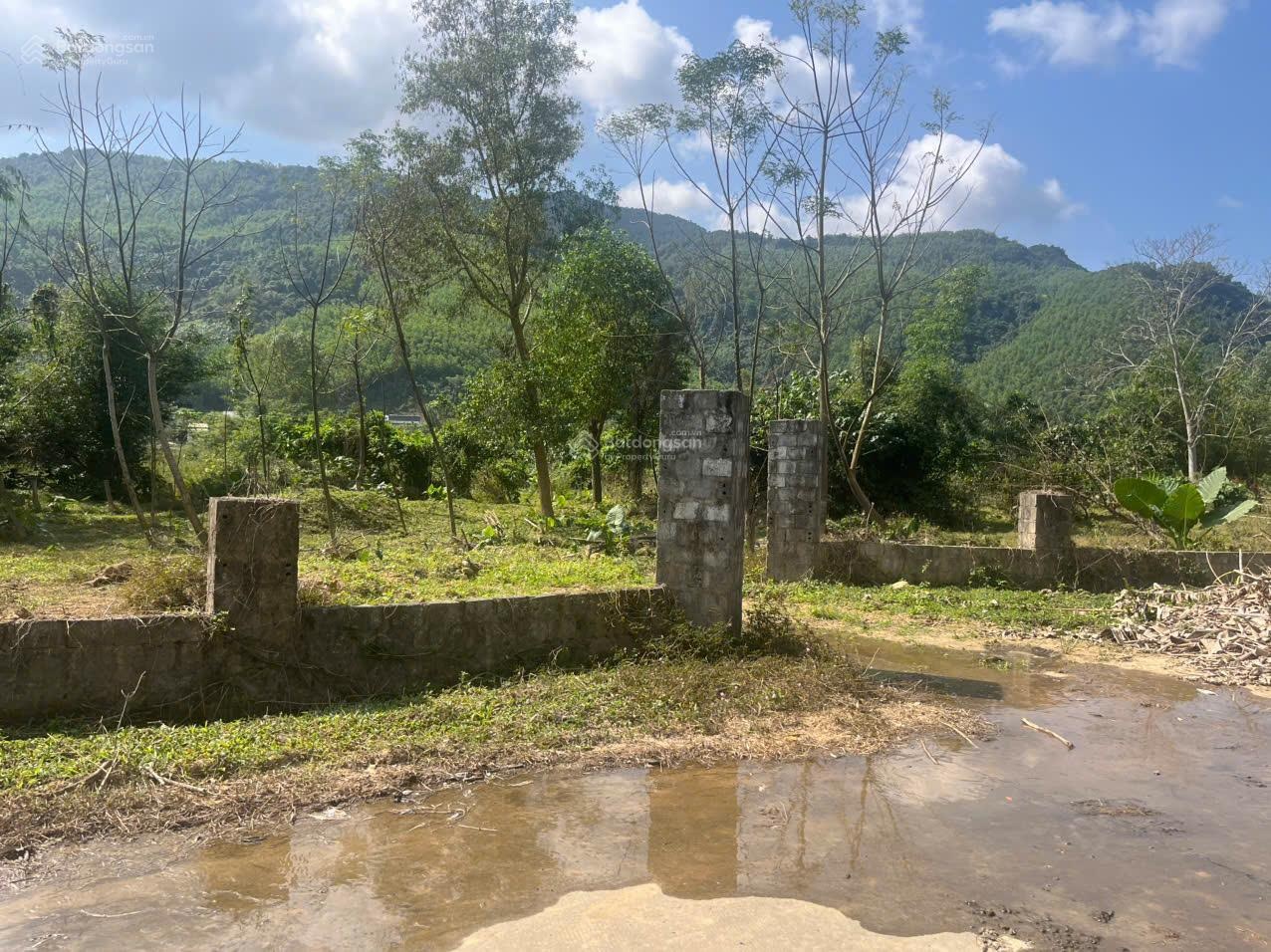 Siêu phẩm đất sinh thái Nam Yên, Hòa Bắc, giá siêu tốt chỉ 1,5 tỷ. LH ngay 0905257686