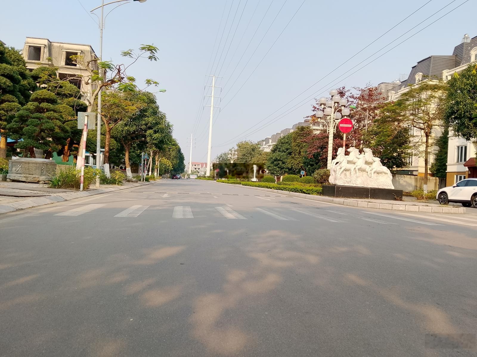 Bán biệt thự Lideco Hoài Đức 161m2 cách Mỹ Đình 6km