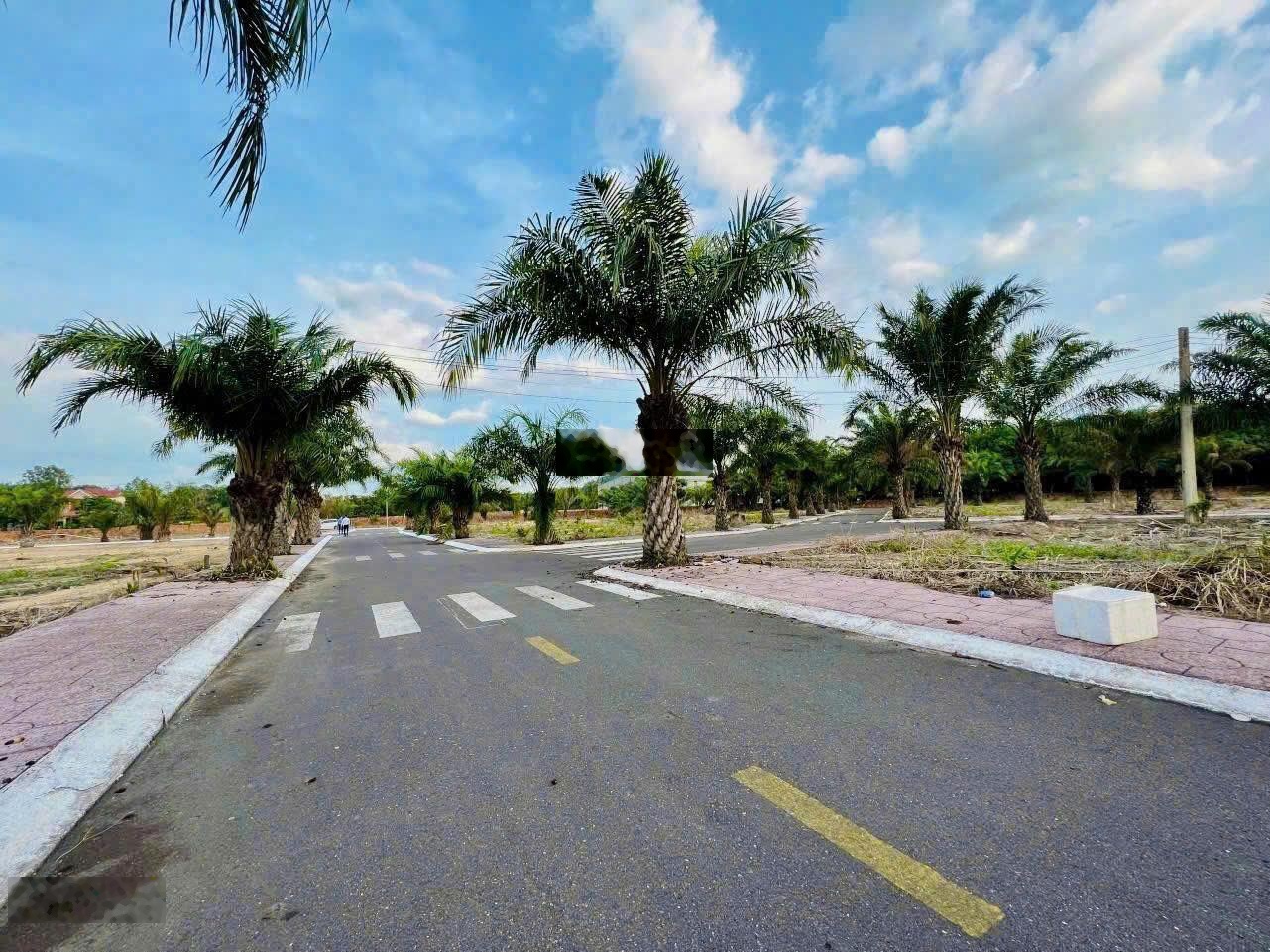 Cuối năm tiền nhàn rỗi cần nơi trú ẩn an toàn, bất động sản khu vực Long Thành là lựa chọn ưu tiên