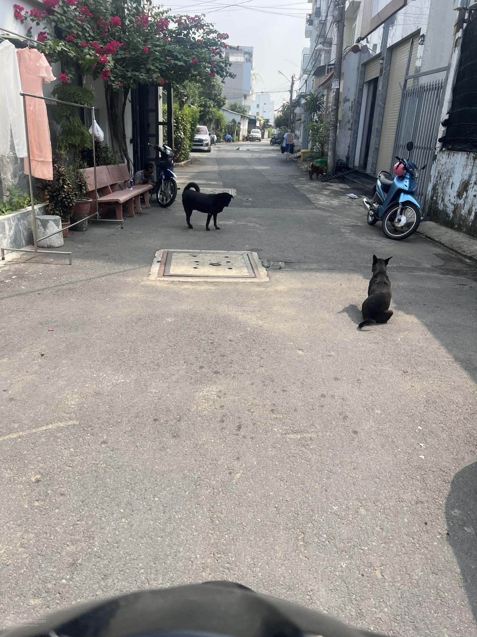 Đất QL13 Hiệp Bình Phước gần Vạn Phúc City 10x40 có 200m2 thổ cư bán 16 tỷ